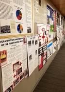 Posters from English II, Sections 24 & 26, taught by adjunct professor Danica A. Buckley
