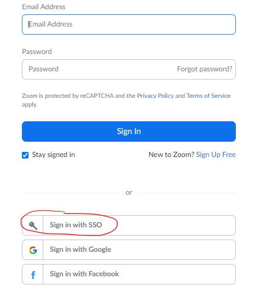 Zoom Login screen with Use SSO button circled